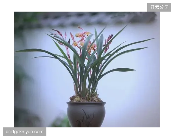 教练组针对不同赛区湿度调整门将训练，重点在于应对球速的细微变化。