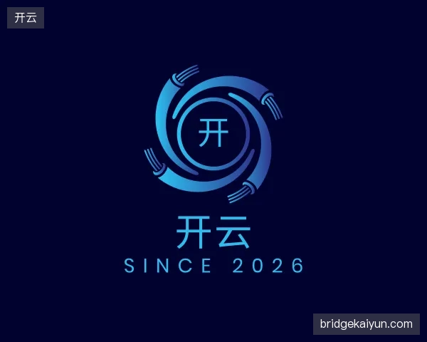 解读开云公司